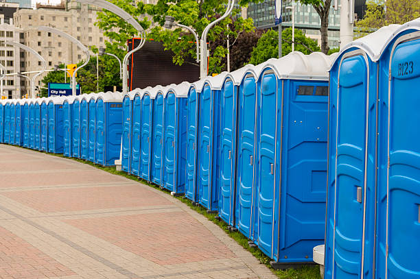 Best Standard Portable Toilet Rental  in Holt, MI